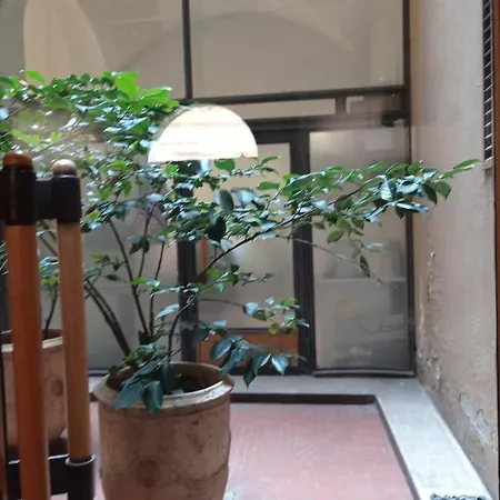Bibi's House
